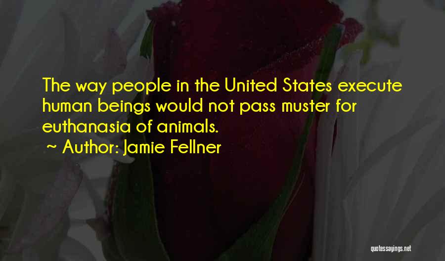 Jamie Fellner Quotes: The Way People In The United States Execute Human Beings Would Not Pass Muster For Euthanasia Of Animals.