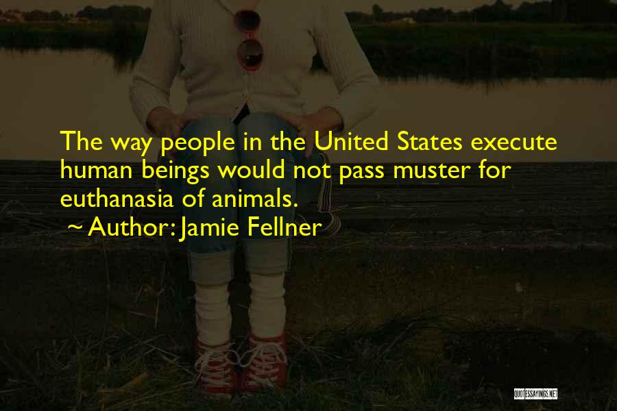 Jamie Fellner Quotes: The Way People In The United States Execute Human Beings Would Not Pass Muster For Euthanasia Of Animals.