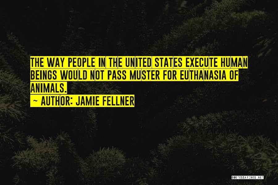 Jamie Fellner Quotes: The Way People In The United States Execute Human Beings Would Not Pass Muster For Euthanasia Of Animals.