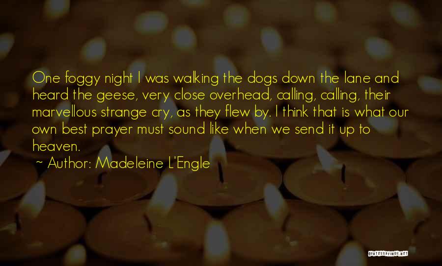 Madeleine L'Engle Quotes: One Foggy Night I Was Walking The Dogs Down The Lane And Heard The Geese, Very Close Overhead, Calling, Calling,