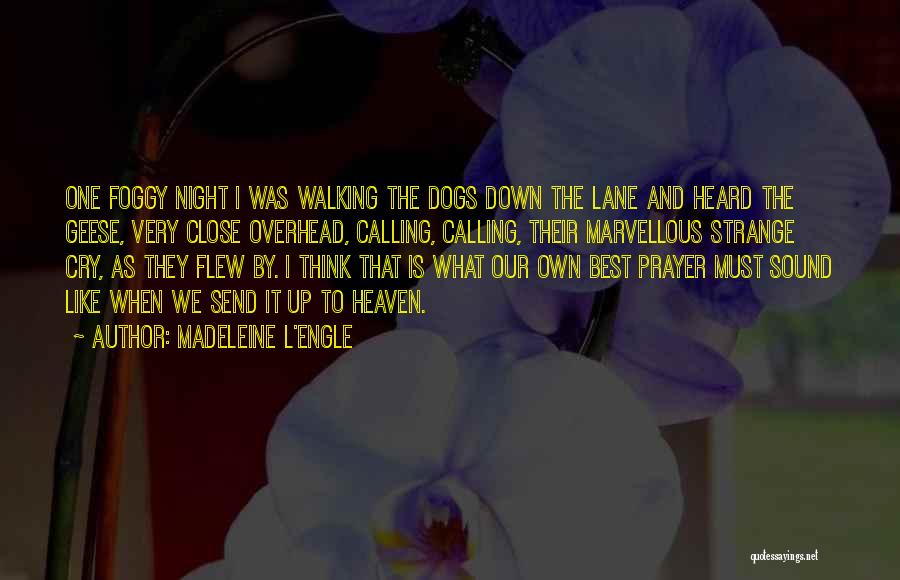 Madeleine L'Engle Quotes: One Foggy Night I Was Walking The Dogs Down The Lane And Heard The Geese, Very Close Overhead, Calling, Calling,