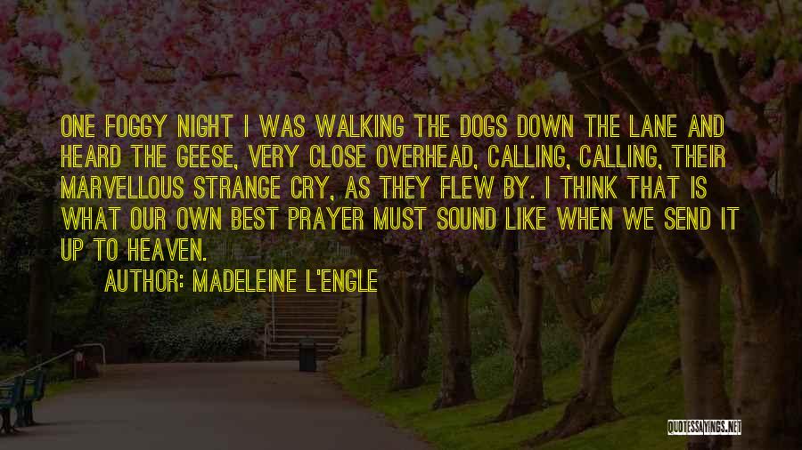 Madeleine L'Engle Quotes: One Foggy Night I Was Walking The Dogs Down The Lane And Heard The Geese, Very Close Overhead, Calling, Calling,