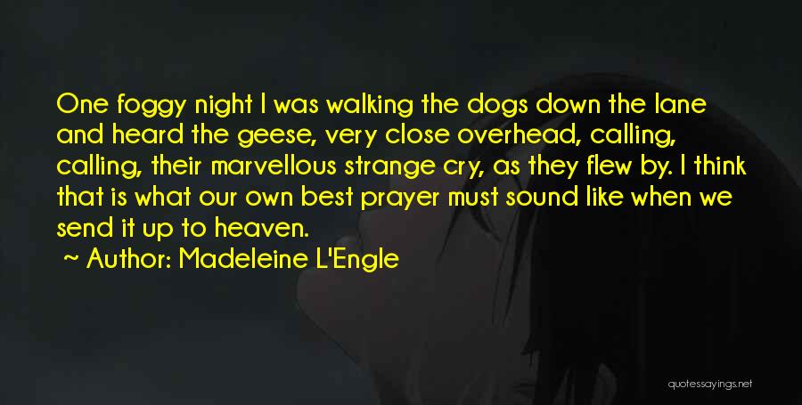 Madeleine L'Engle Quotes: One Foggy Night I Was Walking The Dogs Down The Lane And Heard The Geese, Very Close Overhead, Calling, Calling,