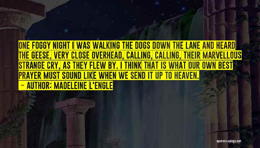 Madeleine L'Engle Quotes: One Foggy Night I Was Walking The Dogs Down The Lane And Heard The Geese, Very Close Overhead, Calling, Calling,