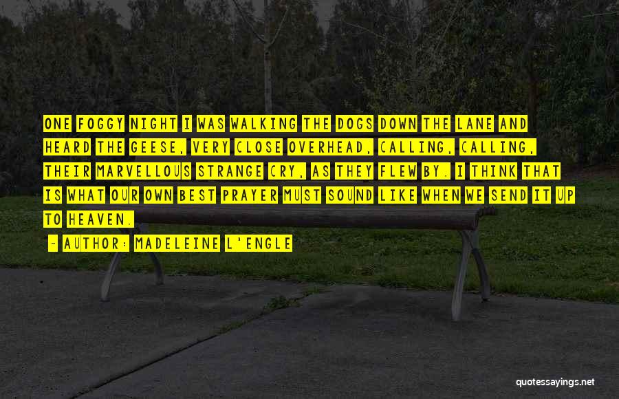 Madeleine L'Engle Quotes: One Foggy Night I Was Walking The Dogs Down The Lane And Heard The Geese, Very Close Overhead, Calling, Calling,