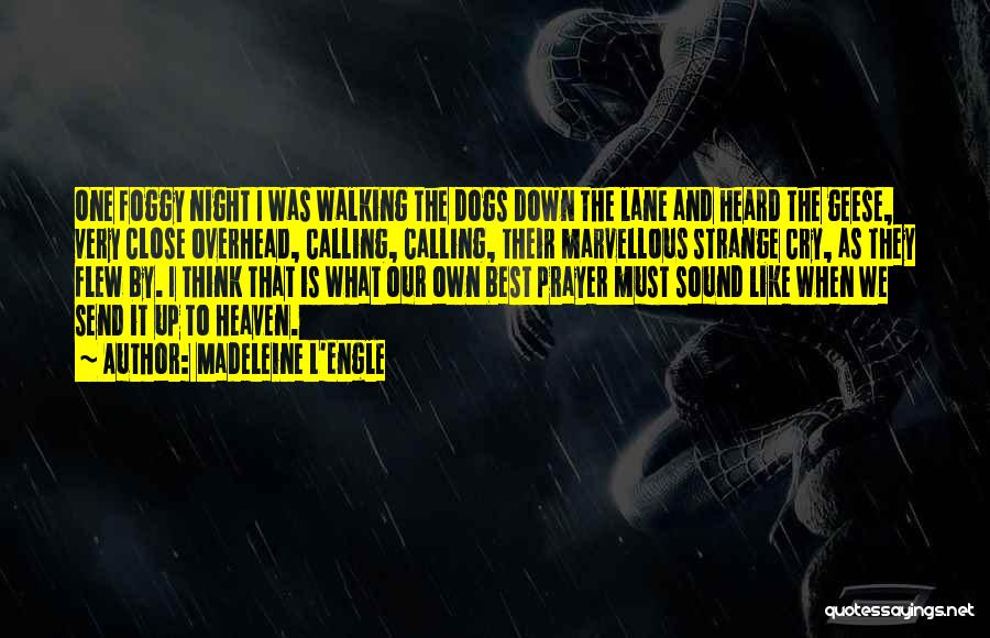 Madeleine L'Engle Quotes: One Foggy Night I Was Walking The Dogs Down The Lane And Heard The Geese, Very Close Overhead, Calling, Calling,
