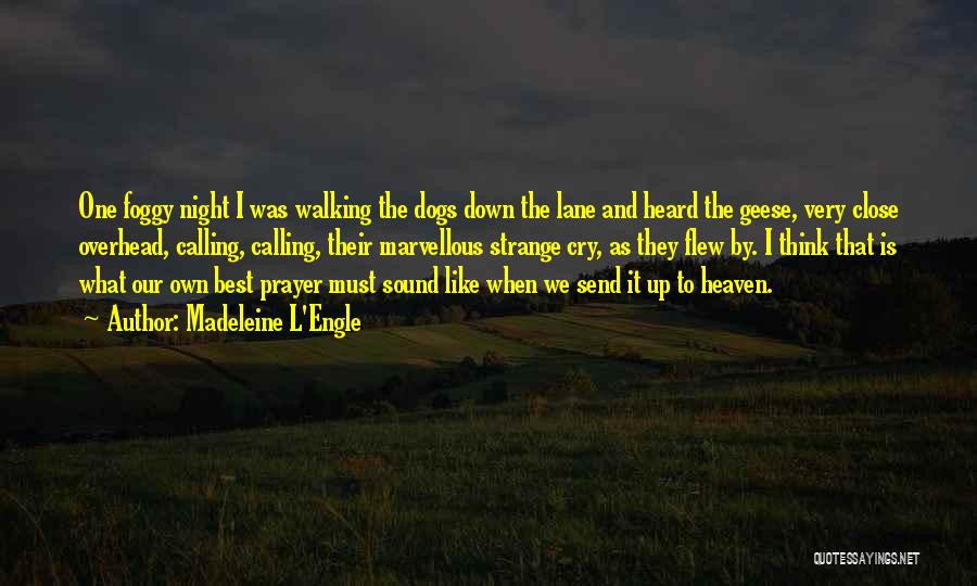 Madeleine L'Engle Quotes: One Foggy Night I Was Walking The Dogs Down The Lane And Heard The Geese, Very Close Overhead, Calling, Calling,