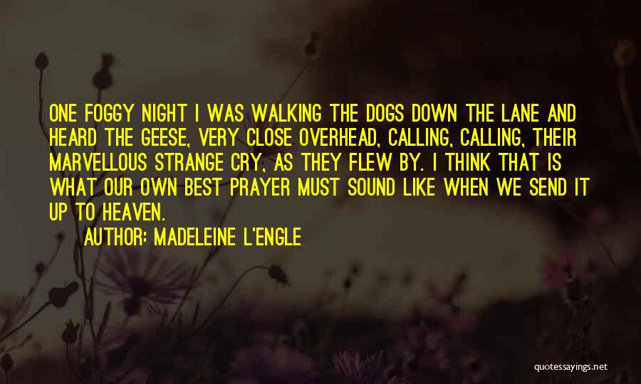 Madeleine L'Engle Quotes: One Foggy Night I Was Walking The Dogs Down The Lane And Heard The Geese, Very Close Overhead, Calling, Calling,