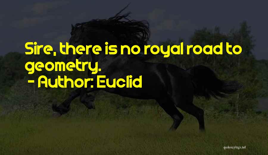 Euclid Quotes: Sire, There Is No Royal Road To Geometry.