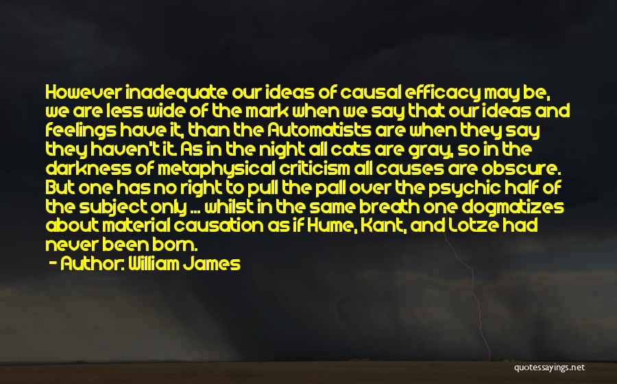 William James Quotes: However Inadequate Our Ideas Of Causal Efficacy May Be, We Are Less Wide Of The Mark When We Say That