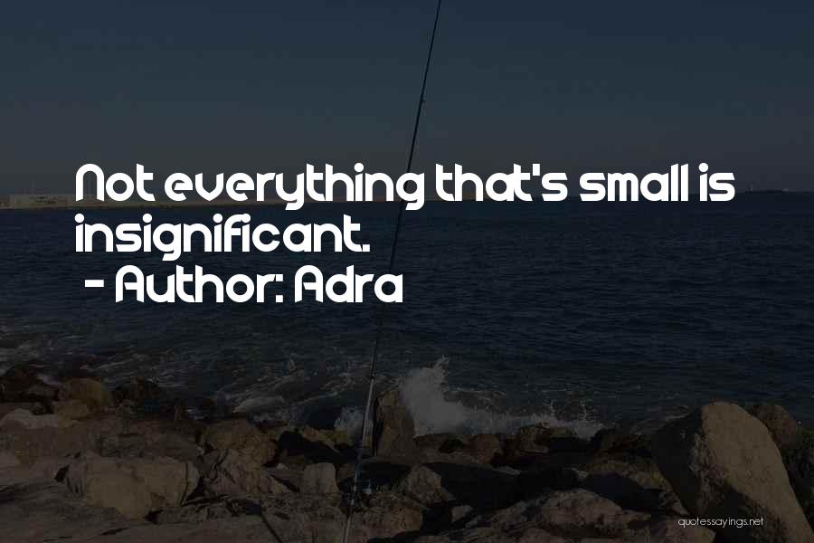 Adra Quotes: Not Everything That's Small Is Insignificant.