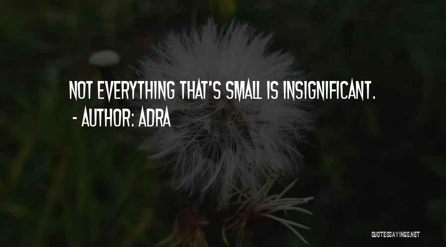 Adra Quotes: Not Everything That's Small Is Insignificant.