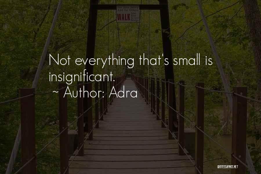 Adra Quotes: Not Everything That's Small Is Insignificant.
