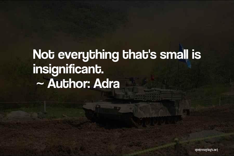 Adra Quotes: Not Everything That's Small Is Insignificant.