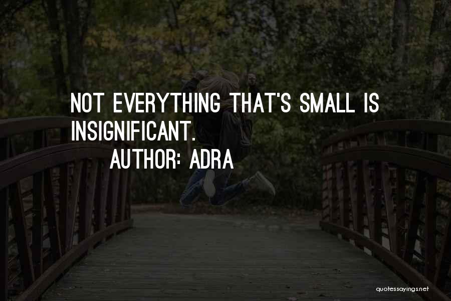 Adra Quotes: Not Everything That's Small Is Insignificant.