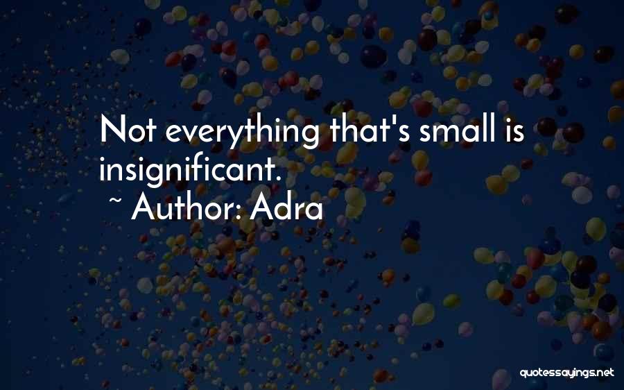 Adra Quotes: Not Everything That's Small Is Insignificant.