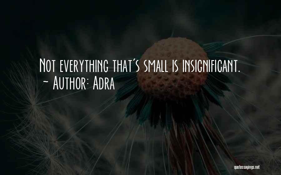 Adra Quotes: Not Everything That's Small Is Insignificant.