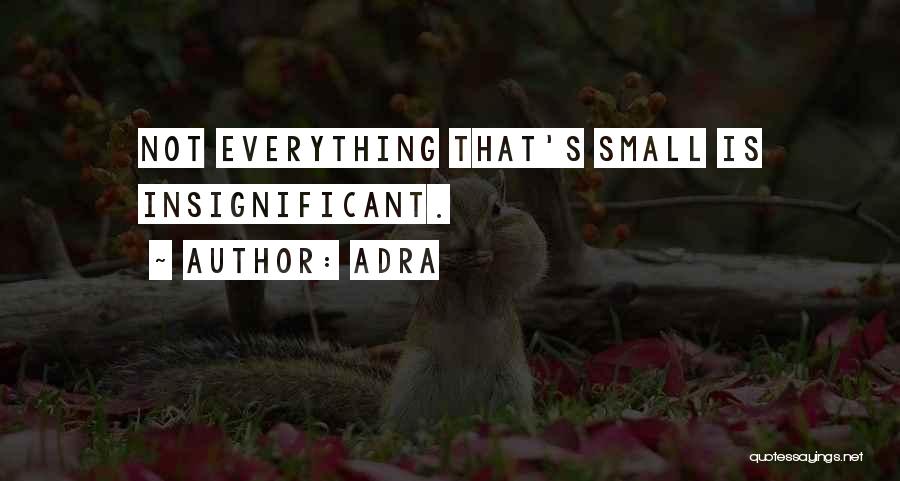 Adra Quotes: Not Everything That's Small Is Insignificant.