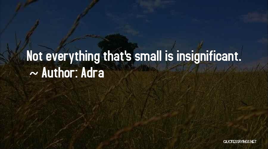 Adra Quotes: Not Everything That's Small Is Insignificant.