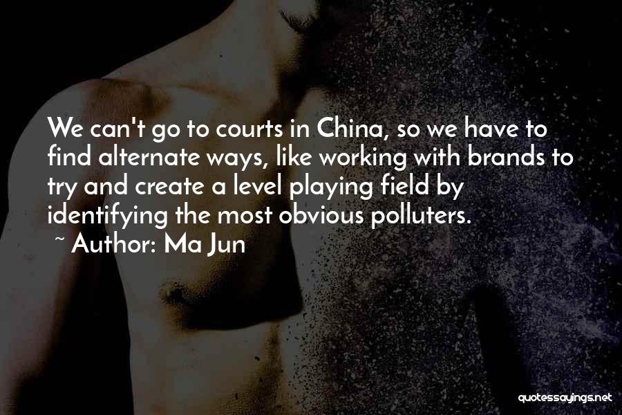 Ma Jun Quotes: We Can't Go To Courts In China, So We Have To Find Alternate Ways, Like Working With Brands To Try