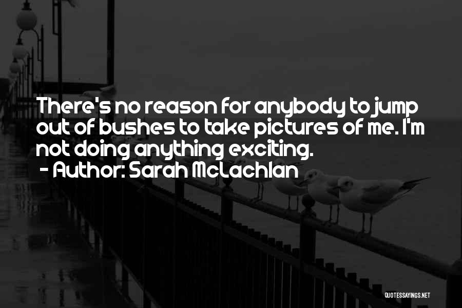 Sarah McLachlan Quotes: There's No Reason For Anybody To Jump Out Of Bushes To Take Pictures Of Me. I'm Not Doing Anything Exciting.