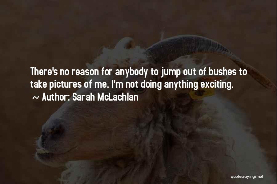 Sarah McLachlan Quotes: There's No Reason For Anybody To Jump Out Of Bushes To Take Pictures Of Me. I'm Not Doing Anything Exciting.