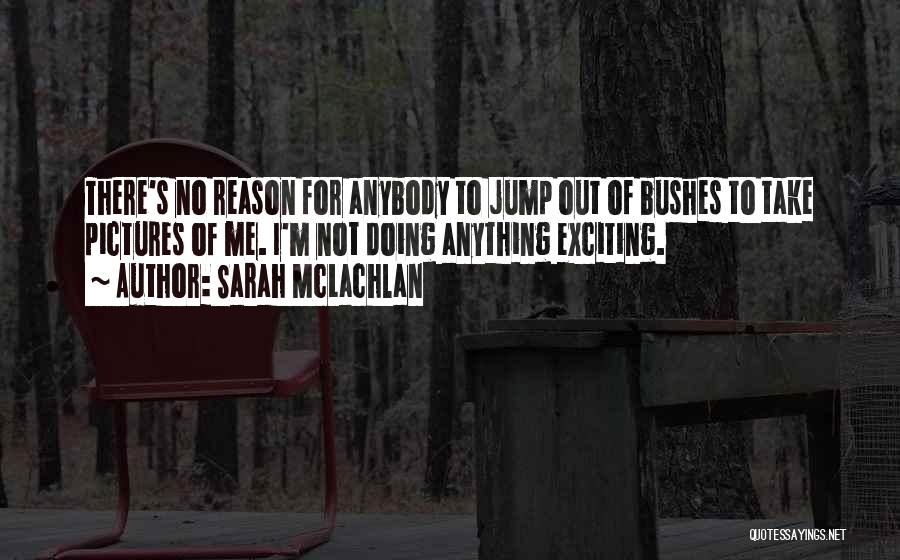 Sarah McLachlan Quotes: There's No Reason For Anybody To Jump Out Of Bushes To Take Pictures Of Me. I'm Not Doing Anything Exciting.