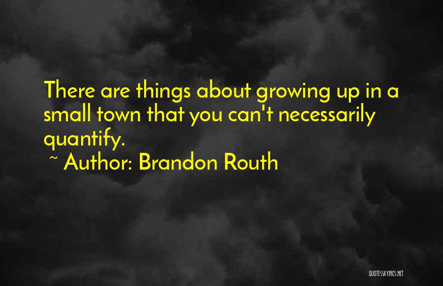 Brandon Routh Quotes: There Are Things About Growing Up In A Small Town That You Can't Necessarily Quantify.