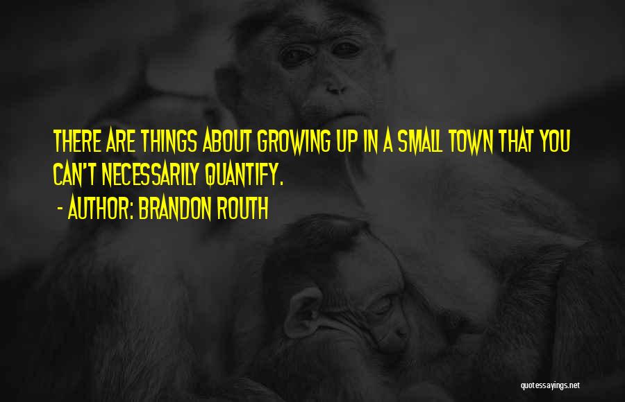 Brandon Routh Quotes: There Are Things About Growing Up In A Small Town That You Can't Necessarily Quantify.