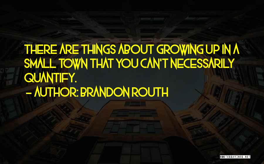Brandon Routh Quotes: There Are Things About Growing Up In A Small Town That You Can't Necessarily Quantify.
