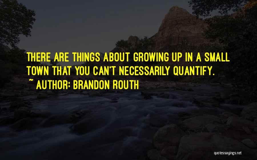 Brandon Routh Quotes: There Are Things About Growing Up In A Small Town That You Can't Necessarily Quantify.