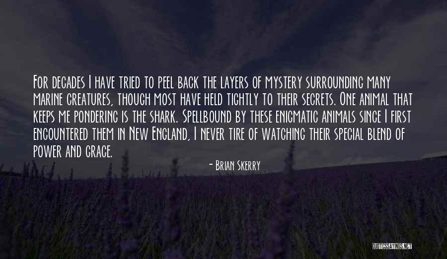 22nd Monthsary Quotes By Brian Skerry 22nd Monthsary Quotes By Brian Skerry