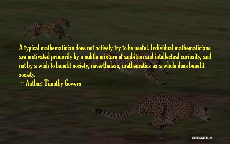 Timothy Gowers Quotes: A Typical Mathematician Does Not Actively Try To Be Useful. Individual Mathematicians Are Motivated Primarily By A Subtle Mixture Of