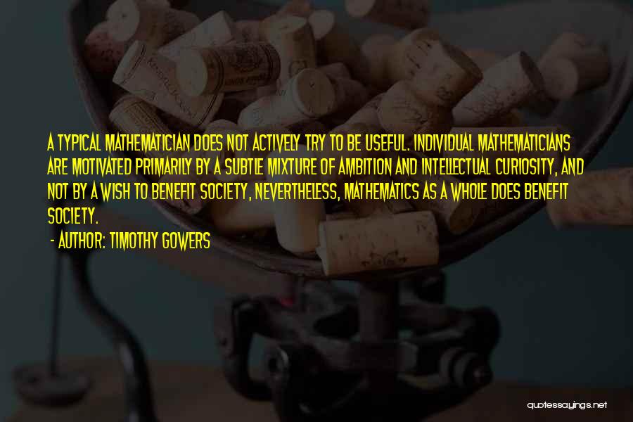 Timothy Gowers Quotes: A Typical Mathematician Does Not Actively Try To Be Useful. Individual Mathematicians Are Motivated Primarily By A Subtle Mixture Of