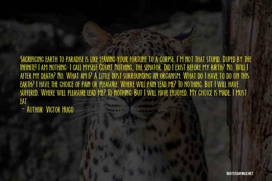 Victor Hugo Quotes: Sacrificing Earth To Paradise Is Like Leaving Your Fortune To A Corpse. I'm Not That Stupid. Duped By The Infinite!