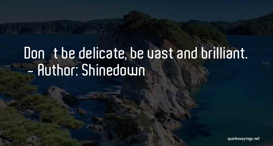 Shinedown Quotes: Don't Be Delicate, Be Vast And Brilliant.