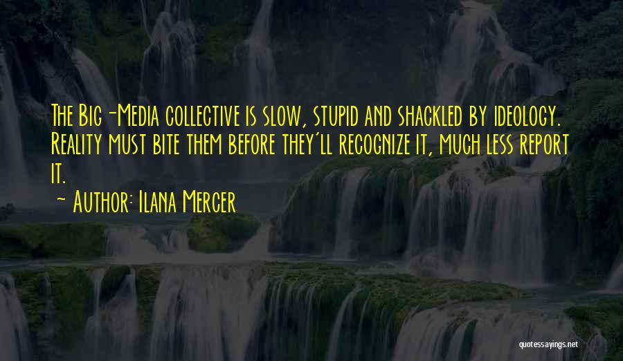 Ilana Mercer Quotes: The Big-media Collective Is Slow, Stupid And Shackled By Ideology. Reality Must Bite Them Before They'll Recognize It, Much Less