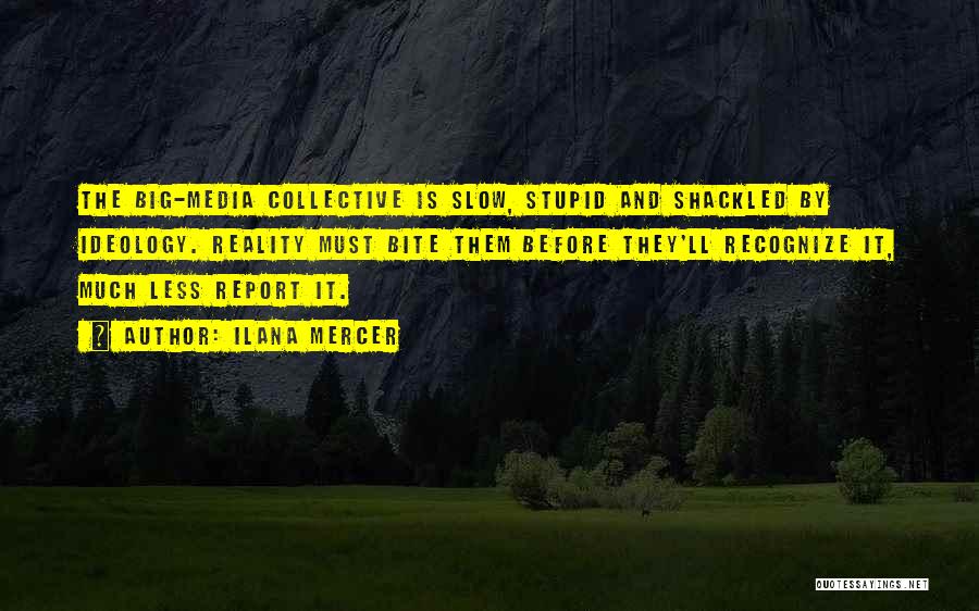 Ilana Mercer Quotes: The Big-media Collective Is Slow, Stupid And Shackled By Ideology. Reality Must Bite Them Before They'll Recognize It, Much Less