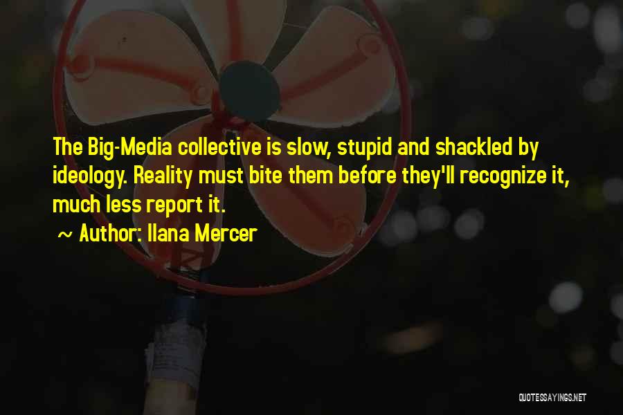 Ilana Mercer Quotes: The Big-media Collective Is Slow, Stupid And Shackled By Ideology. Reality Must Bite Them Before They'll Recognize It, Much Less