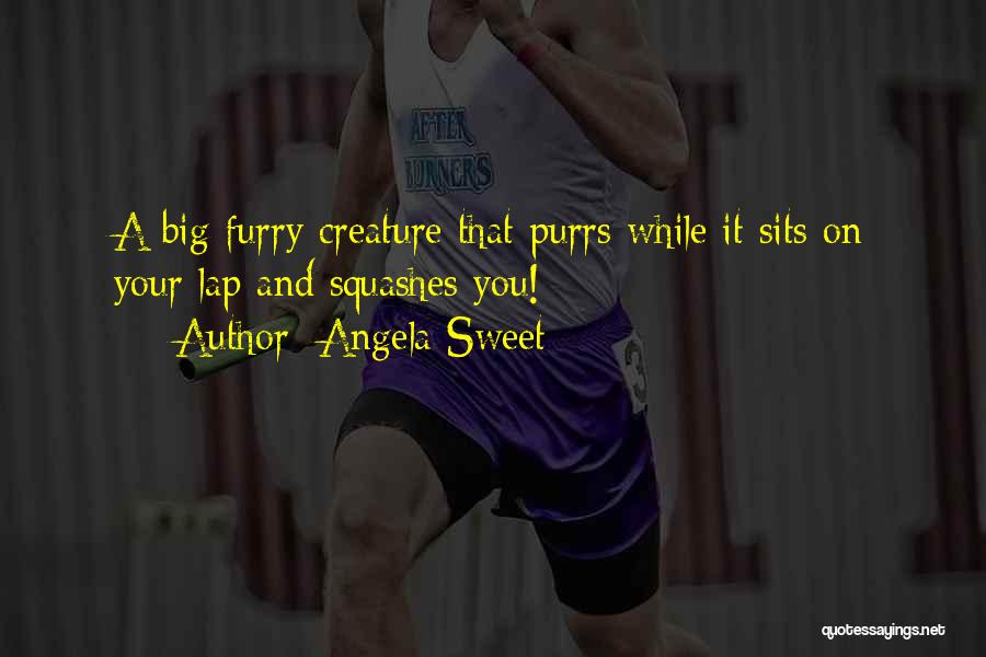 Angela Sweet Quotes: A Big Furry Creature That Purrs While It Sits On Your Lap And Squashes You!