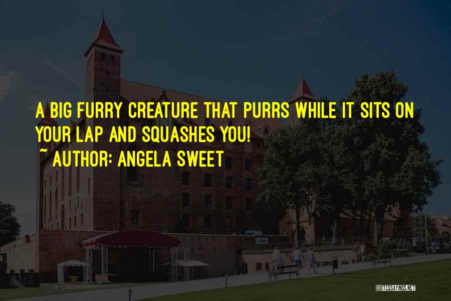 Angela Sweet Quotes: A Big Furry Creature That Purrs While It Sits On Your Lap And Squashes You!