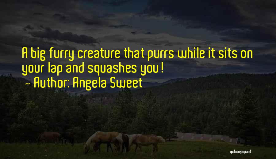 Angela Sweet Quotes: A Big Furry Creature That Purrs While It Sits On Your Lap And Squashes You!