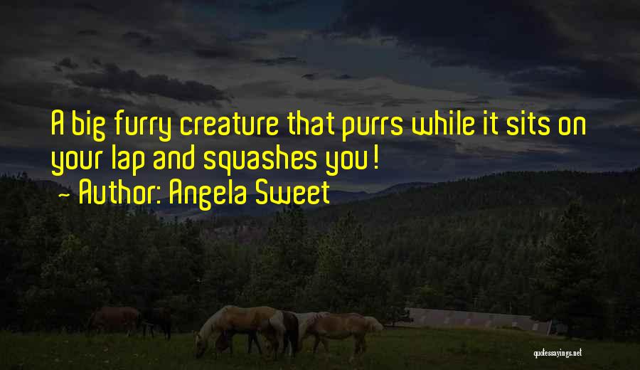 Angela Sweet Quotes: A Big Furry Creature That Purrs While It Sits On Your Lap And Squashes You!