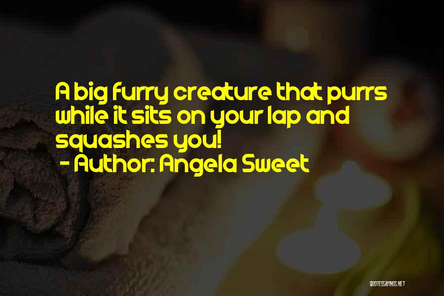 Angela Sweet Quotes: A Big Furry Creature That Purrs While It Sits On Your Lap And Squashes You!