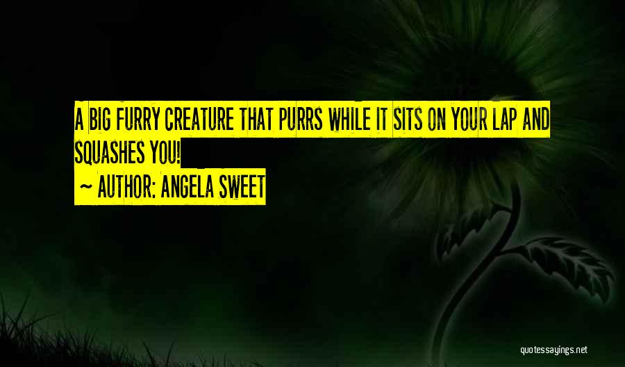 Angela Sweet Quotes: A Big Furry Creature That Purrs While It Sits On Your Lap And Squashes You!