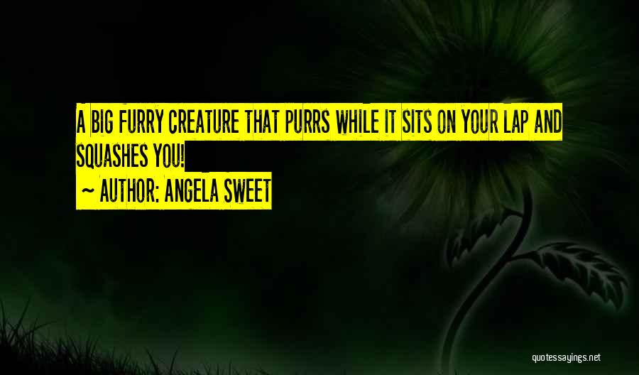 Angela Sweet Quotes: A Big Furry Creature That Purrs While It Sits On Your Lap And Squashes You!