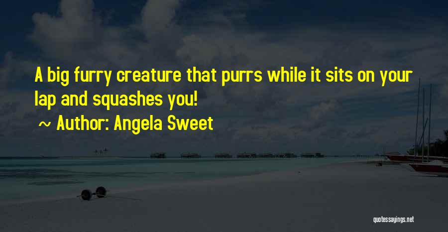 Angela Sweet Quotes: A Big Furry Creature That Purrs While It Sits On Your Lap And Squashes You!