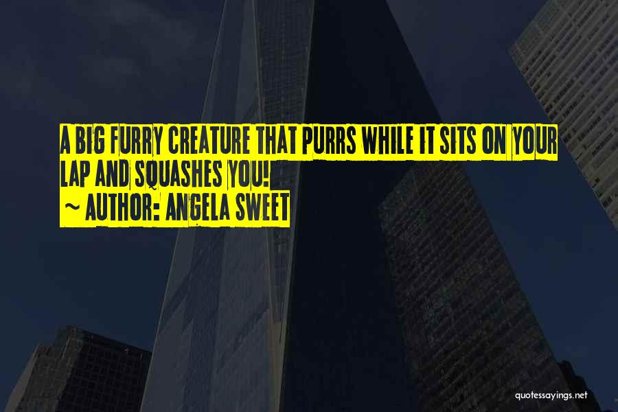 Angela Sweet Quotes: A Big Furry Creature That Purrs While It Sits On Your Lap And Squashes You!