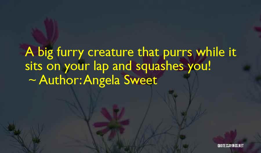 Angela Sweet Quotes: A Big Furry Creature That Purrs While It Sits On Your Lap And Squashes You!