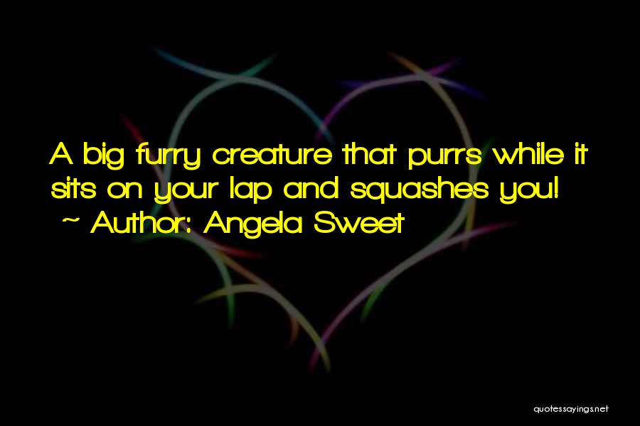 Angela Sweet Quotes: A Big Furry Creature That Purrs While It Sits On Your Lap And Squashes You!